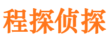 颍东市侦探公司